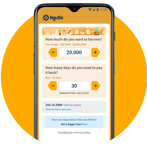 Loan App on Phone